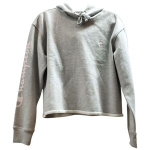 Champion Gray Hoodie with Pink Sleeve Logo- Cropped - Size Large